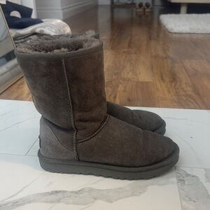 Cozy grey UGGS